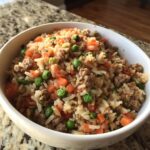homemade dog food