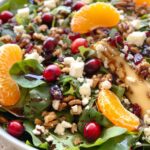 Festive Orange & Cranberry Salad