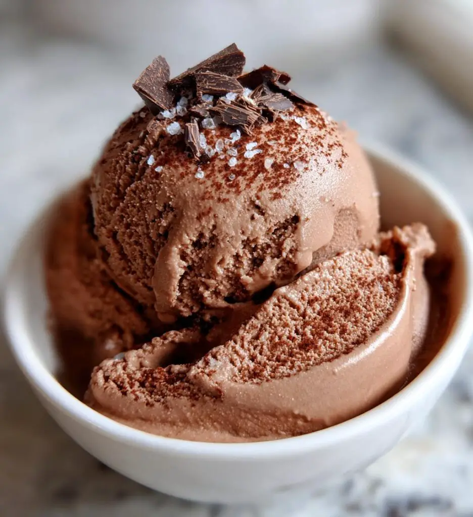 vegan chocolate ice cream